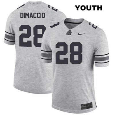 Youth NCAA Ohio State Buckeyes Dominic DiMaccio #28 College Stitched Authentic Nike Gray Football Jersey FA20P11MJ